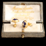 Edwardian Pearl & Enamel Quatrefoil Stud Earrings