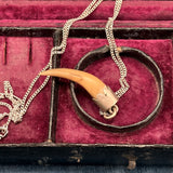 Canine Tooth (?)  Bavarian Hunting Talisman