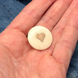 Heart Bachelor's Button