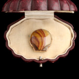 Victorian Agate Shell Brooch