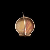 Victorian Agate Shell Brooch