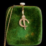 Victorian Horseshoe & Nail Necklace