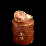 Ancient Roman Agate Dog Cameo Ring
